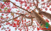 VŨNG TÀU – BỨT PHÁ DỌC THEO CÁC HÀNH LANG KINH TẾ BIỂN LIÊN VÙNG
