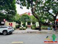 Villa 93 Xuân Thuỷ - Thảo Điền Vị trí đẹp nhất tuyến đường - Ngay Phố Đi Bộ Thảo Điền